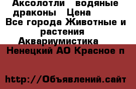 Аксолотли / водяные драконы › Цена ­ 500 - Все города Животные и растения » Аквариумистика   . Ненецкий АО,Красное п.